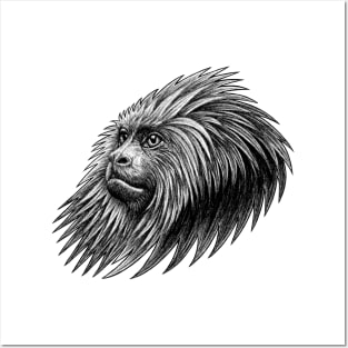 Golden headed lion tamarin - ink illustration Posters and Art